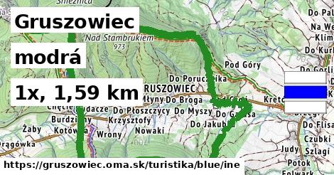 Gruszowiec Turistické trasy modrá iná