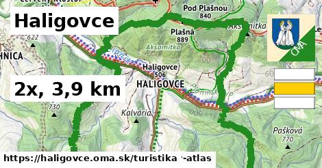 Haligovce Turistické trasy  