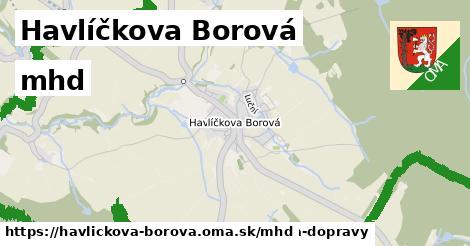 Havlíčkova Borová Doprava  