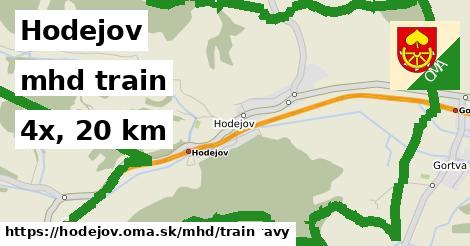 Hodejov Doprava train 