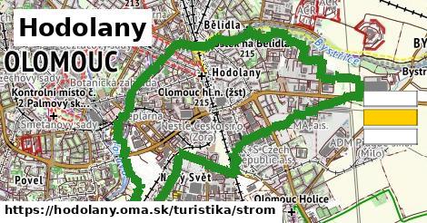 Hodolany Turistické trasy strom 