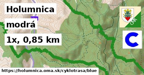 Holumnica Cyklotrasy modrá 