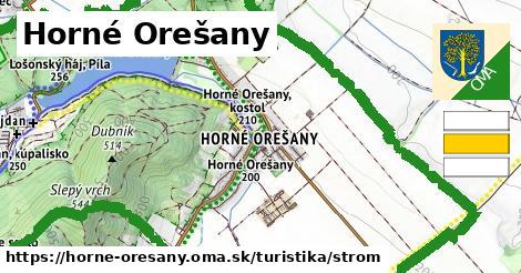 Horné Orešany Turistické trasy strom 