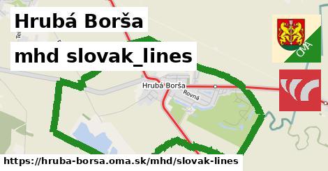 Hrubá Borša Doprava slovak-lines 