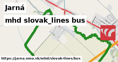 Jarná Doprava slovak-lines bus