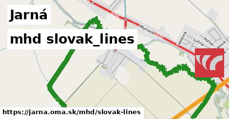 Jarná Doprava slovak-lines 