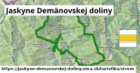 Jaskyne Demänovskej doliny Turistické trasy strom 