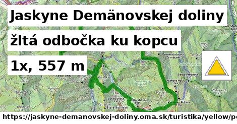 Jaskyne Demänovskej doliny Turistické trasy žltá odbočka ku kopcu