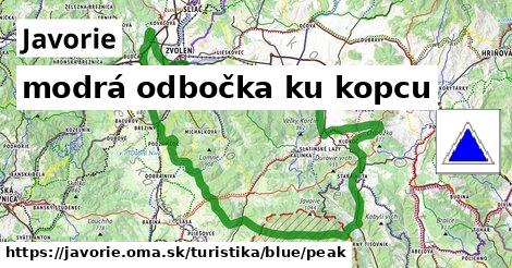 Javorie Turistické trasy modrá odbočka ku kopcu