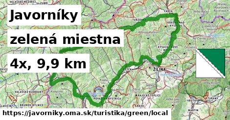 Javorníky Turistické trasy zelená miestna