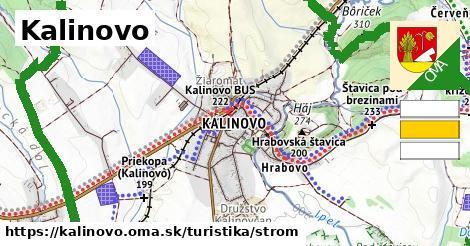 Kalinovo Turistické trasy strom 