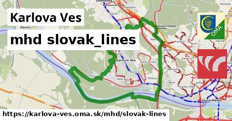 Karlova Ves Doprava slovak-lines 