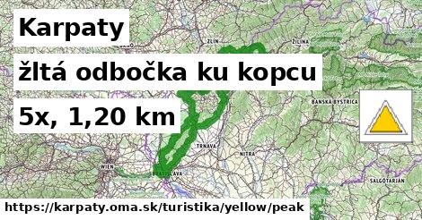 Karpaty Turistické trasy žltá odbočka ku kopcu