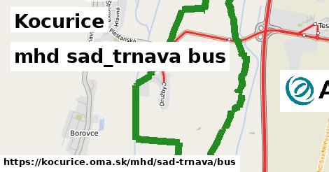 Kocurice Doprava sad-trnava bus