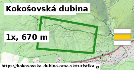 Kokošovská dubina Turistické trasy  