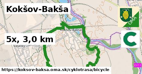 Kokšov-Bakša Cyklotrasy bicycle 