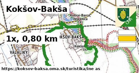 Kokšov-Bakša Turistické trasy iná 