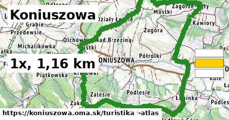 Koniuszowa Turistické trasy  