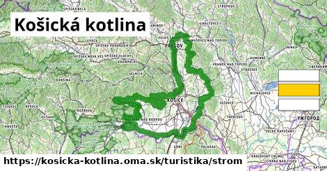 Košická kotlina Turistické trasy strom 