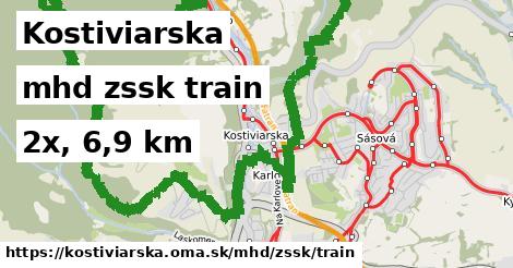 Kostiviarska Doprava zssk train