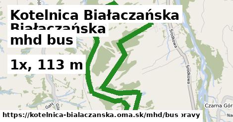 Kotelnica Białaczańska Doprava bus 
