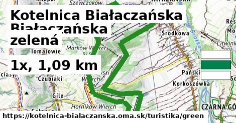 Kotelnica Białaczańska Turistické trasy zelená 