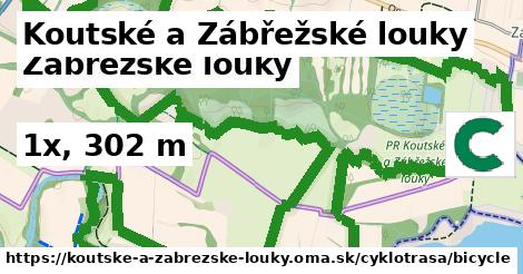 Koutské a Zábřežské louky Cyklotrasy bicycle 
