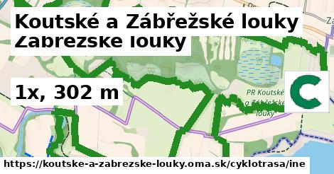 Koutské a Zábřežské louky Cyklotrasy iná 
