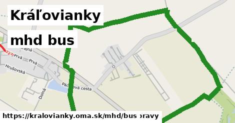 Kráľovianky Doprava bus 