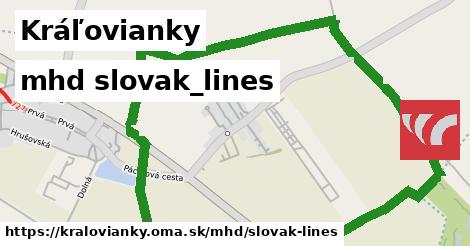 Kráľovianky Doprava slovak-lines 