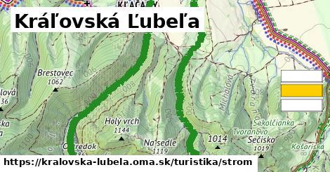 Kráľovská Ľubeľa Turistické trasy strom 