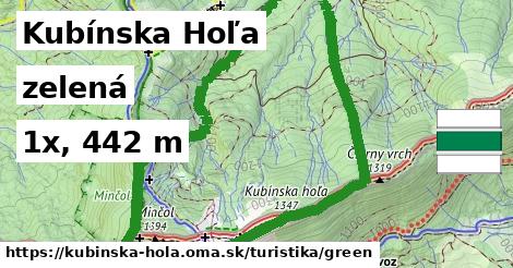 Kubínska Hoľa Turistické trasy zelená 