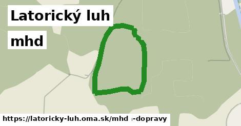 Latorický luh Doprava  