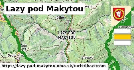 Lazy pod Makytou Turistické trasy strom 