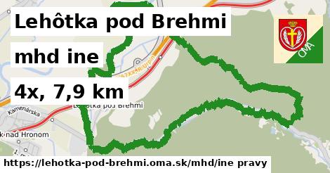 Lehôtka pod Brehmi Doprava iná 