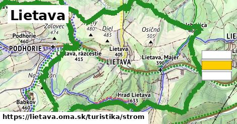 Lietava Turistické trasy strom 