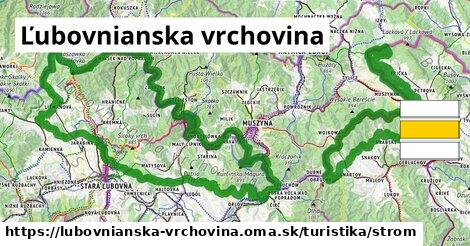 Ľubovnianska vrchovina Turistické trasy strom 