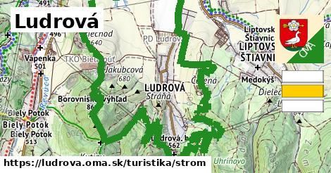 Ludrová Turistické trasy strom 