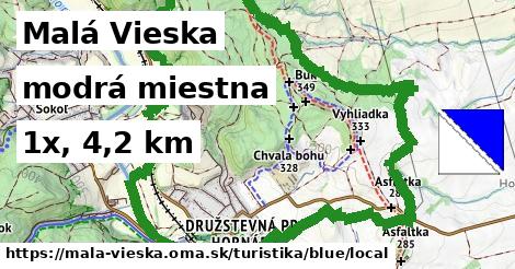 Malá Vieska Turistické trasy modrá miestna