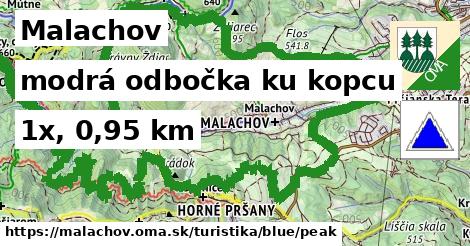 Malachov Turistické trasy modrá odbočka ku kopcu