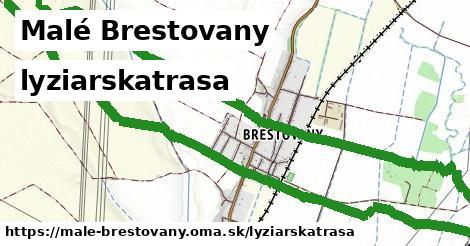 Malé Brestovany Lyžiarske trasy  