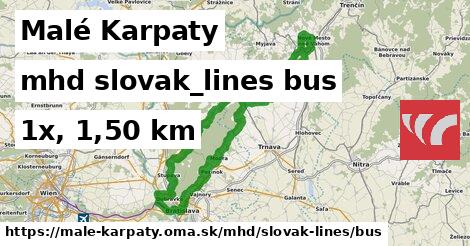 Malé Karpaty Doprava slovak-lines bus