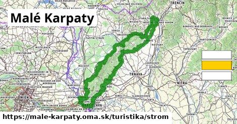 Malé Karpaty Turistické trasy strom 