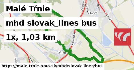 Malé Tŕnie Doprava slovak-lines bus