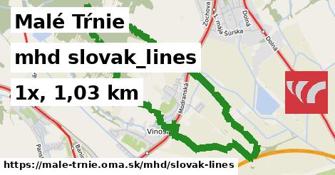 Malé Tŕnie Doprava slovak-lines 