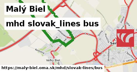 Malý Biel Doprava slovak-lines bus