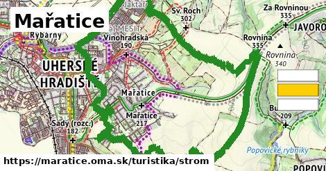 Mařatice Turistické trasy strom 