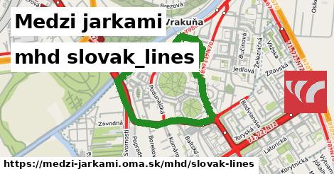 Medzi jarkami Doprava slovak-lines 