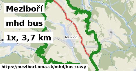Meziboří Doprava bus 