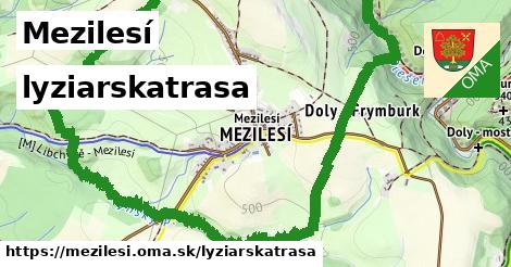 Mezilesí Lyžiarske trasy  
